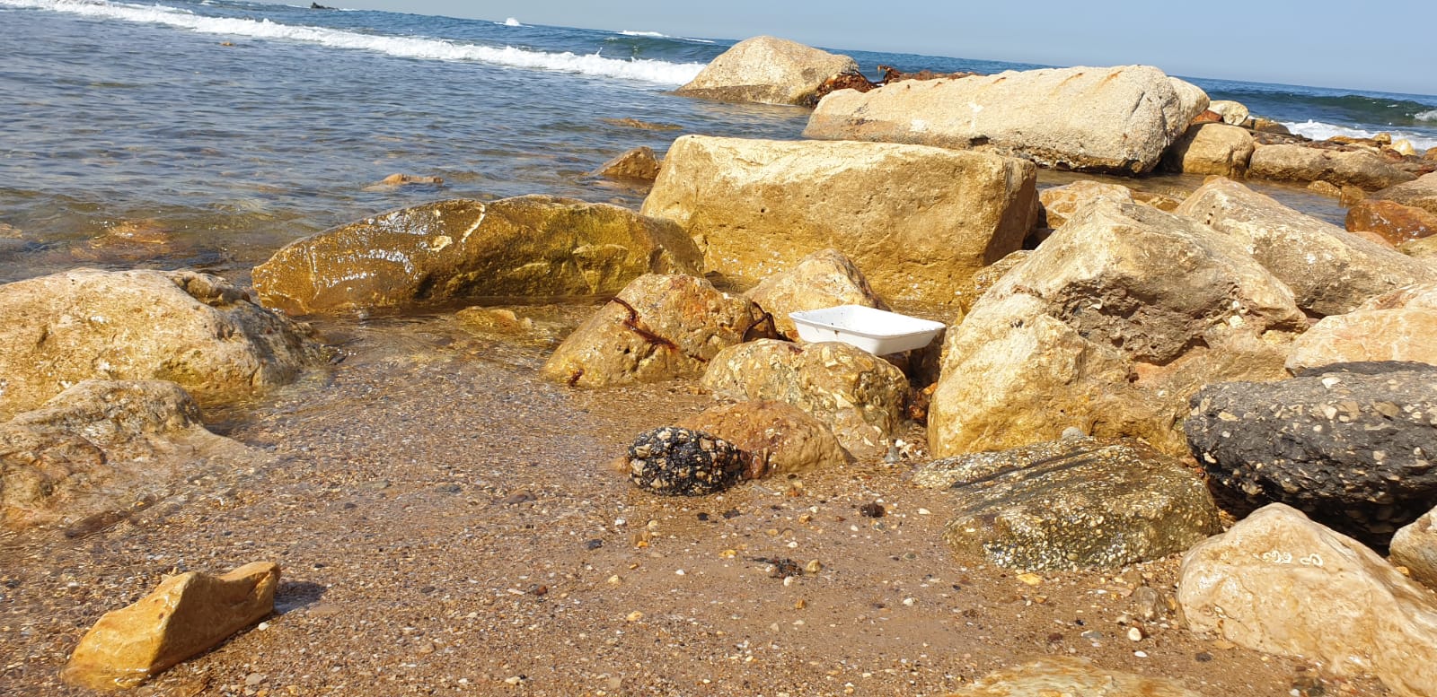 WhatsApp Image 2020-06-04 at 9.10.30 AM.jpeg.jpeg